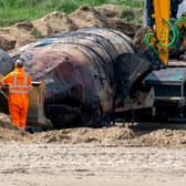 A large whale was found washing up on a British beach this week