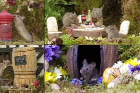 Mice in tiny fantasy houses created by Simon Dell in his garden in Sheffield, South Yorkshire. 