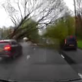 Dashcam footage of the moment a tree was blown onto Princess Road in Manchester during high winds on Monday April 15 2024. 