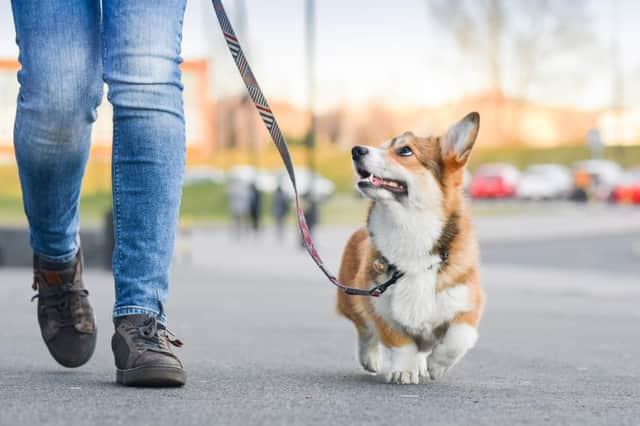 The new laws could come into effect early next year (Photo: Shutterstock)