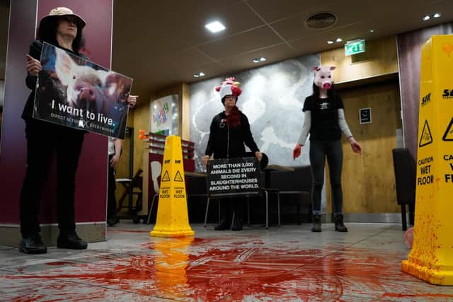 Protesters at Brighton London Road McDonald's