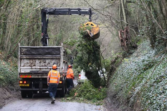 TREE DOWN ASHCOMBE HOLLOW KINGSTON NEAR LEWES SUS-171012-114022001