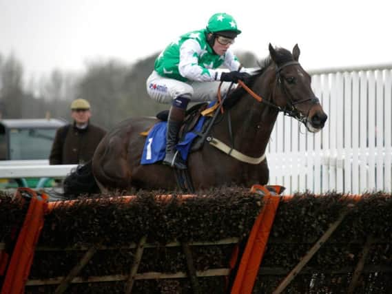 Camping Ground leaves rivals standing in the 2017 totepool National Spirit Hurdle / Picture by Clive Bennett