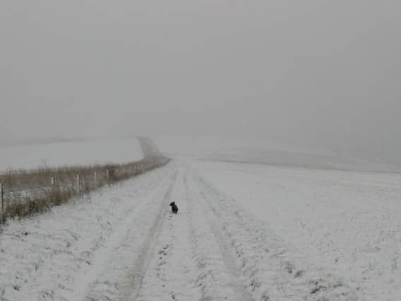 South Downs in Storrington was covered in snow.