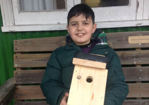 Bird box building event in Copsale SUS-180129-164238001