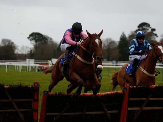Jumps action at Fontwell Park / Picture by Clive Bennett