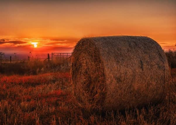 South Downs Sunset by Tom Hard