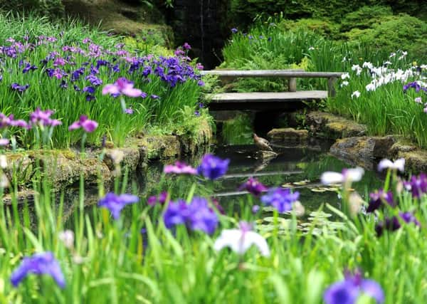 Iris Dell at Wakehurst Place. Pic Steve Robards SR1714163 SUS-170618-140614001