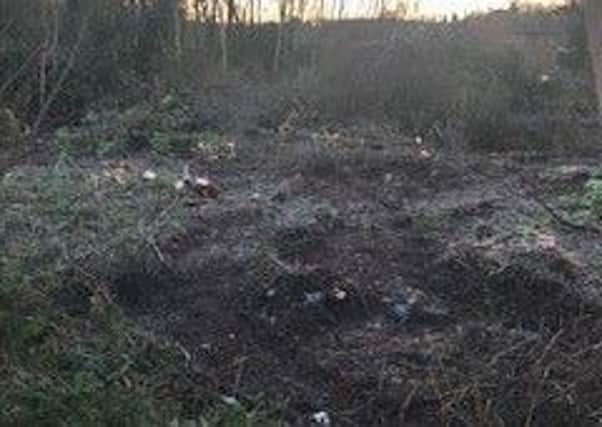 Destruction of ancient woodland at Burleys Wood, Pound Hill, Crawley SUS-180219-123847001