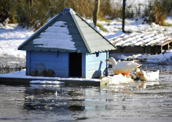 House boat with a difference. In a pond near Danny House, Hurstpierpoint. Pic Steve Robards SR1805800 SUS-180227-172928001