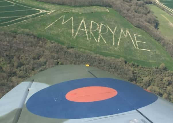 The huge message on a hillside in the national park