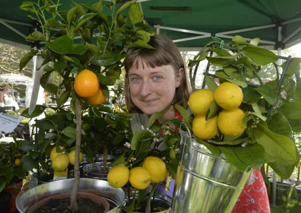 Hannah Bodkin at the 11th Firle Garden Show. Photograph: Jon Rigby (SUS-180423-111906008)