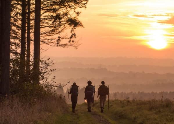 The festival aims to help visitors get back to nature