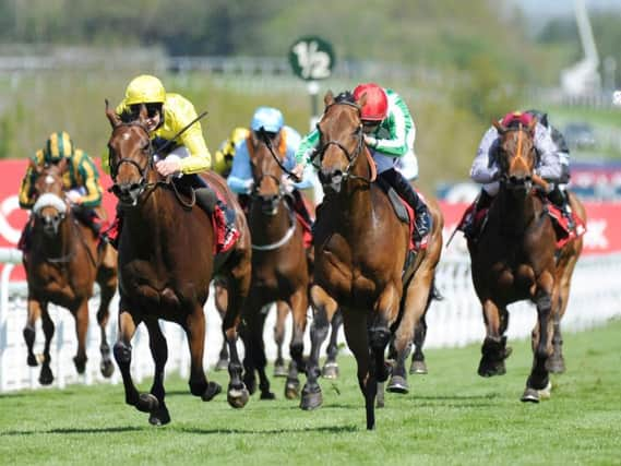 Summer Icon (yellow silks) goes toe to toe with Taurean Star (red cap) in the third race of the day / Picture by Malcolm Wells