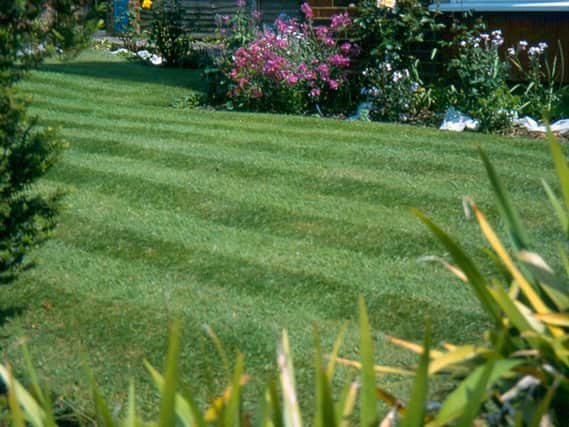 Blaise Tapp is working on his dream garden