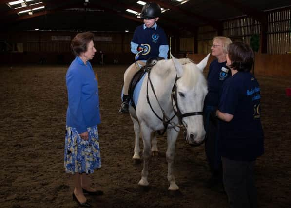 HRH The Princess Royal meets Stanley on 'Toblerone' at Plumpton. Photograph: Amanda Jane Smith