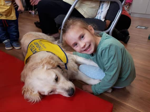 Gracie the golden retriever with Rose