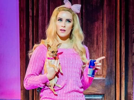 Legally Blonde Lucie Jones (Elle Woods), Bruisey (Bruiser Woods): Photo Robert Workman