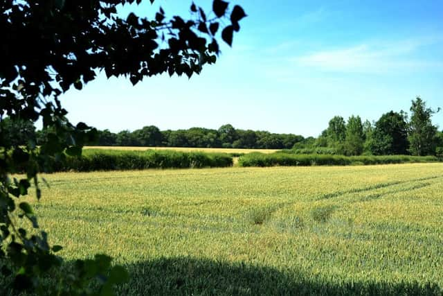 Northern Arc, Burgess Hill, major development announcement. Views to the west of Bodle Bros. Pic Steve Robards SR1817209 SUS-180207-120248001