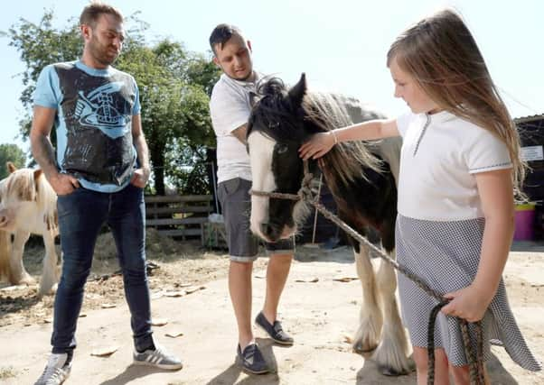 Tony Clements, his business partner Tristan Cluett and Tony's daughter, Lola, seven, with Gypsy Picture: Chris Moorhouse