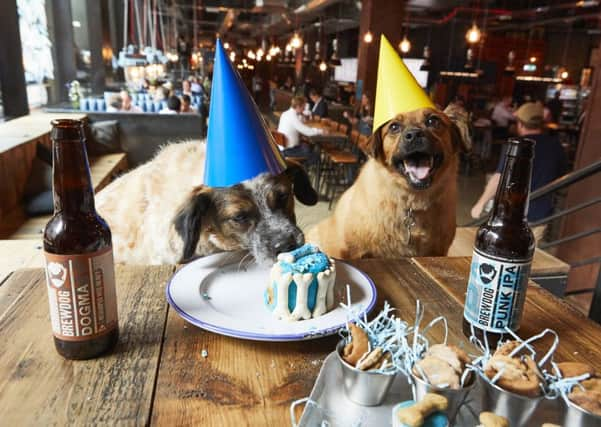 Brewdog launches Dog Pawties