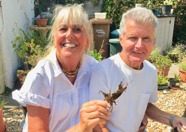 Ange Rawlings and John Richardson, both 70, from Glenville Road, Rustington, have discovered a huge undulate ray population off the Rustington coast