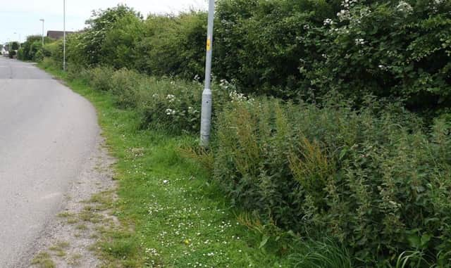 Where there isn't a pavement pedestrians are forced to walk along the verge SUS-180730-072326001