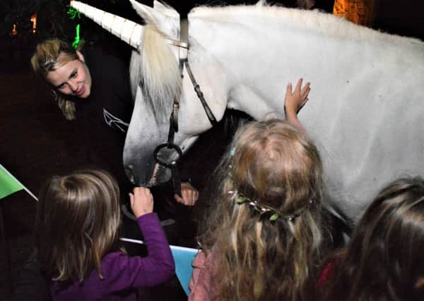 Enchanted Horsham. Photos by Cheryl Zimmerman