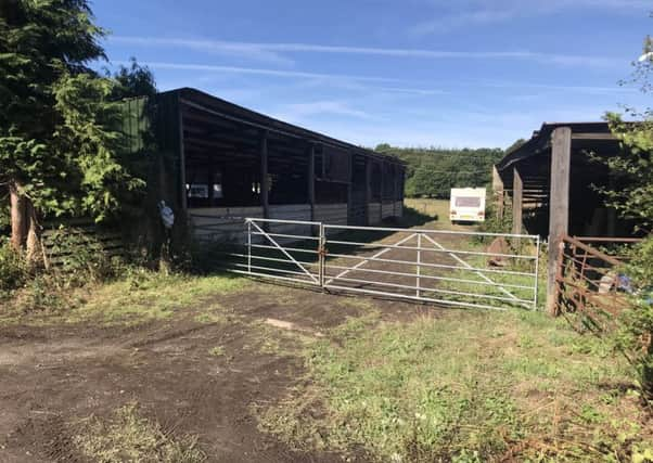 The farm in Groombridge