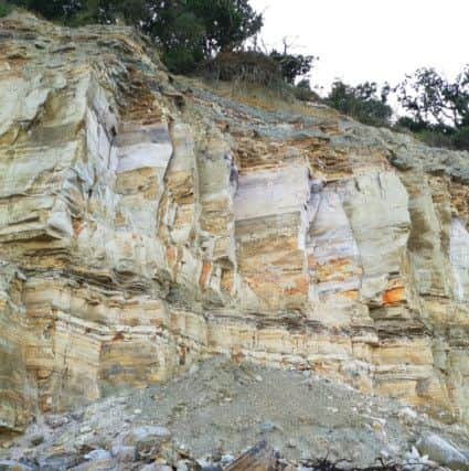 A section of the cliff has previously fallen onto the beach. Picture: Louisa Jennings