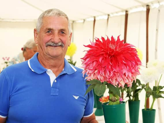 Mick Minton with his winning dahlia. Photo by Derek Martin DM1881406a