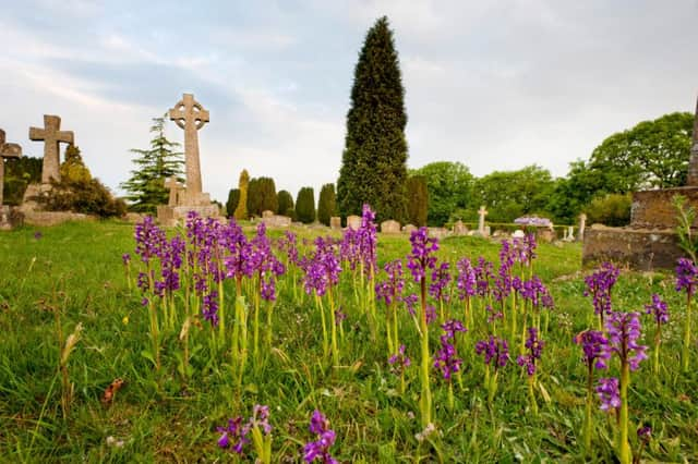 Walstead cemetery west side