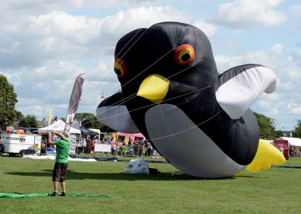 A kite at this year's Bognor Regis Kite Festival, which ran for the first time in Felpham on the King George V Playing Field. Photograph: Kate Shemilt (ks180416-1)