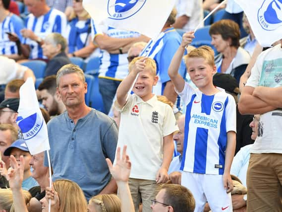 Albion fans pictured at the Amex yesterday. Picture by PW Sporting Photography