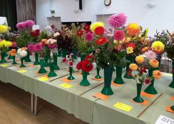 The Ewhurst autumn flower show