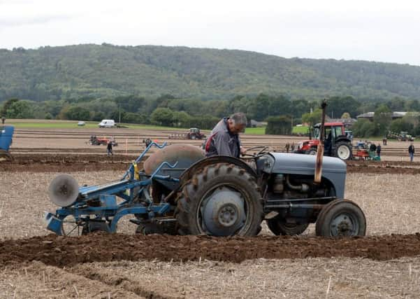 ks180462-7 Duncton Ploughing Match  phot kate
Ploughing in progress..ks180462-7 SUS-180922-220232008