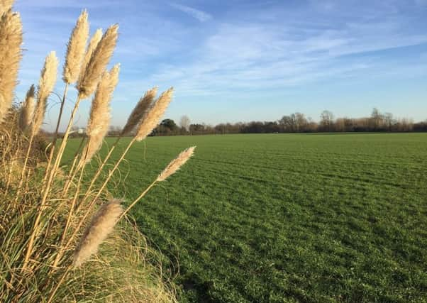 The land where the homes in Climping will be built