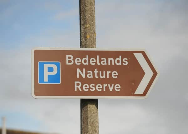 Bedelands Nature Reserve in Burgess Hill