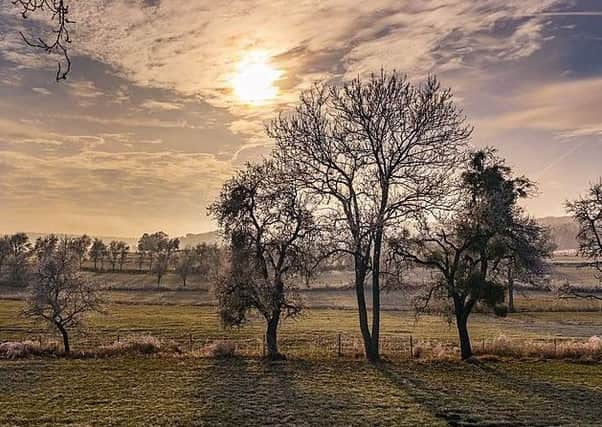 Frosty autumn morning