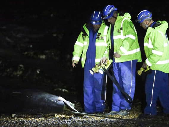 Newhaven Coastguard Search andRescue Team at Saltdean beach last night