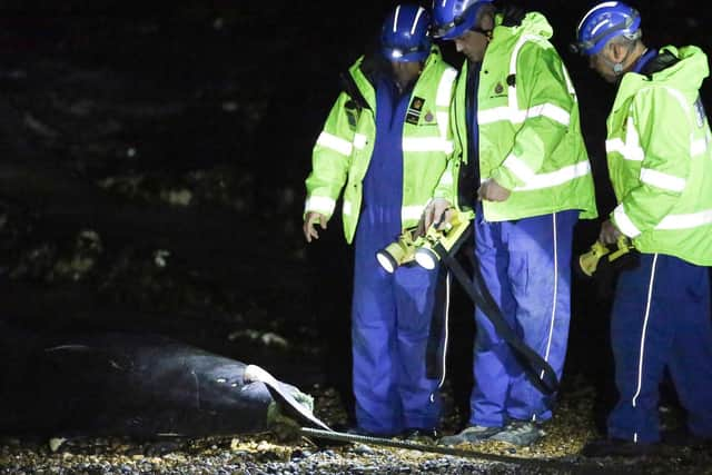 Newhaven Coastguard Search andRescue Team at Saltdean beach last night