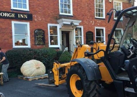 Giant Pumpkin 1 SUS-180211-091843001