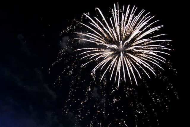 Worthing fireworks. Picture: Kate Shemilt