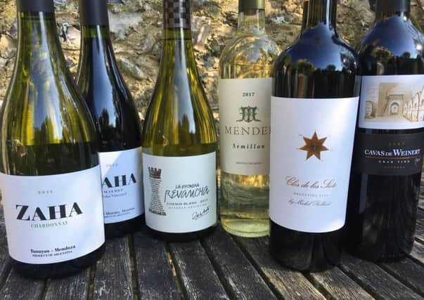 Wines from Mendoza