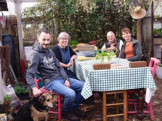 The Martlets allotment project