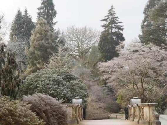 Sheffield Park Picture: National Trust