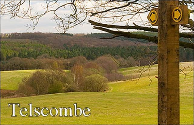 Telscombe news