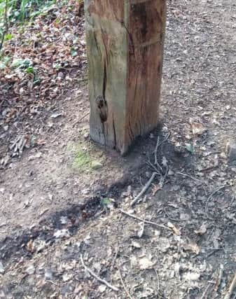 Vandalism at Hastings Country Park SUS-190122-113536001