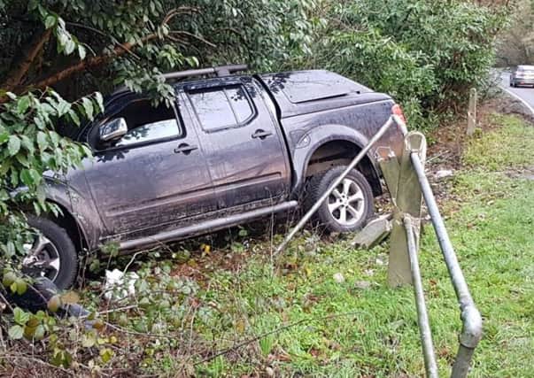 Officers said the driver and two dogs had a lucky escape. Photo by Horsham Police