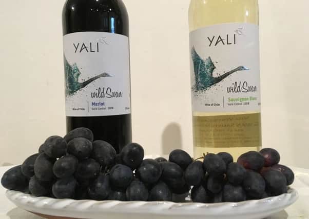Vina Ventisquero's Yali wines